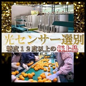 日の丸みかん「ゴールド千兩」3kg サイズLまたはM/約25~35個/2箱/高糖度【F79-3】【1452025】