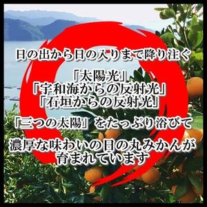 日の丸みかん「ゴールド千兩」3kg サイズLまたはM/約25~35個/2箱/高糖度【F79-3】【1452025】