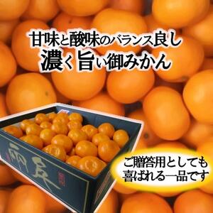 日の丸みかん「千兩」3kg 約25~35個/LまたはMサイズ/光センサー使用【C79-6】【1452029】