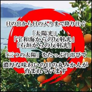日の丸みかん「千兩」3kg 約25~35個/LまたはMサイズ/光センサー使用【C79-6】【1452029】