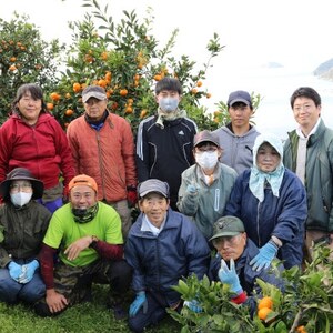 愛媛・小林果園のせとか 約2.8kg【C24-31】【1519398】