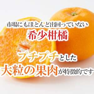 「甘柑はるみ」5kg【C79-24】【1474168】