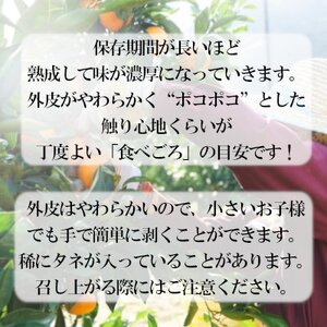 「甘柑はるみ」5kg【C79-24】【1474168】