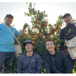 頂みかんジュース180ml×1000本【H31-37】【1511346】