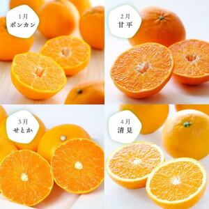 【発送月固定定期便】愛媛の人気品種を厳選!みかん定期便(秀品)【H25-166】全12回【配送不可地域:離島】【4054625】