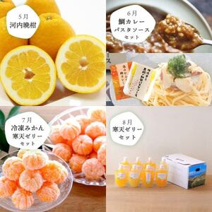 【発送月固定定期便】愛媛の人気品種を厳選!みかん定期便(秀品)【H25-166】全12回【配送不可地域:離島】【4054625】