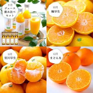 【発送月固定定期便】愛媛の人気品種を厳選!みかん定期便(秀品)【H25-166】全12回【配送不可地域:離島】【4054625】