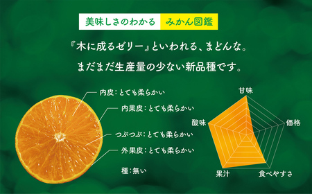 【訳あり】天空の果樹園から届く そらまどんな(5kg)【D45-33】【1339406】