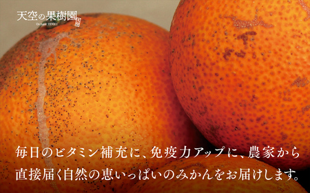 【訳あり】天空の果樹園から届く そらまどんな(5kg)【D45-33】【1339406】