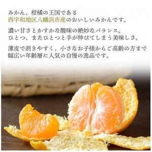 西宇和地区八幡浜産 愛媛みかん【贈答用】15個入り のし付き【C25-167】【1536565】