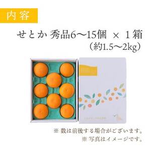 とろける濃厚柑橘 せとか のし付き ギフトボックス入り【E25-168】【1536588】