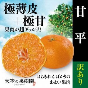 【訳あり】天空の果樹園から届ける甘平(3kg)【C45-89】【1535973】