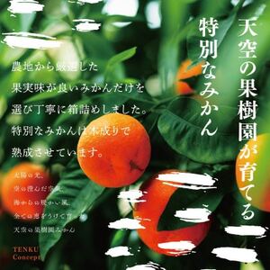 【訳あり】天空の果樹園から届ける甘平(3kg)【C45-89】【1535973】