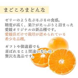 まどんな (愛媛果試28号) 贈答箱入り のし付き【D25-170】【1536523】