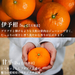 【発送月固定定期便】愛媛の美味しい人気柑橘5品種 甘平・せとか・河内晩柑等【H70-43】全5回【4055162】