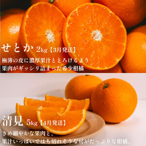 【発送月固定定期便】愛媛の美味しい人気柑橘5品種 甘平・せとか・河内晩柑等【H70-43】全5回【4055162】