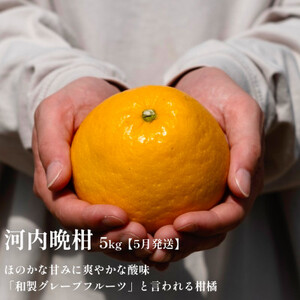 【発送月固定定期便】愛媛の美味しい人気柑橘5品種 甘平・せとか・河内晩柑等【H70-43】全5回【4055162】