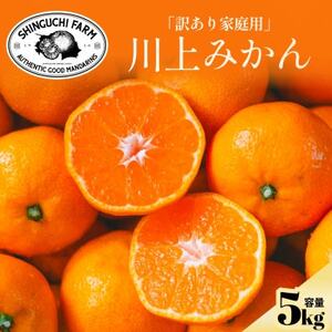 【天皇杯受賞産地】川上みかん5kg【訳あり】愛媛県八幡浜市【C70-37】【1536340】