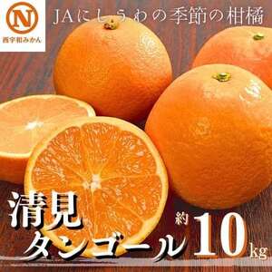 JAにしうわの季節の柑橘(清見タンゴール 約10kg)【F08-10】【1474254】