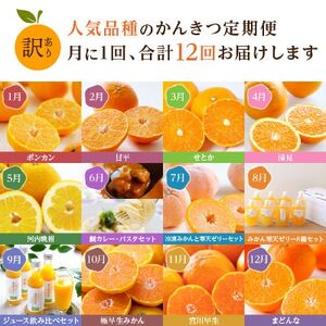 【発送月固定定期便】愛媛の人気品種を厳選!みかん定期便(訳あり)【H25-171】全12回【配送不可地域：離島】【4056289】
