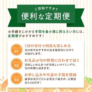 【発送月固定定期便】愛媛の人気品種を厳選!みかん定期便(訳あり)【H25-171】全12回【配送不可地域：離島】【4056289】