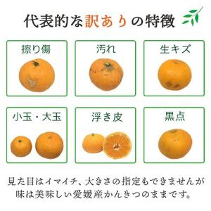 【発送月固定定期便】愛媛の人気品種を厳選!みかん定期便(訳あり)【H25-171】全12回【配送不可地域：離島】【4056289】