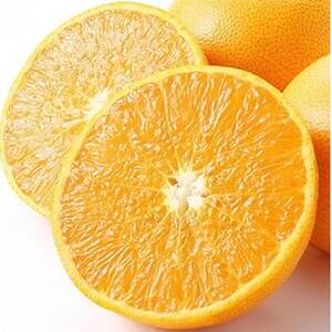 愛媛の高級柑橘の代名詞!「せとか」約3.5kg入【D28-18】【配送不可地域:離島】【1046129】