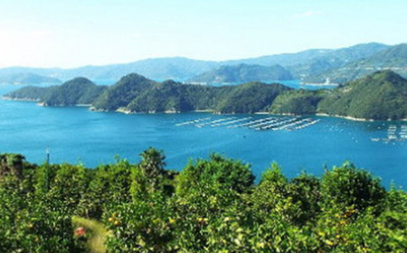 口いっぱいに広がる爽やかな甘み!「はるか」約5kg入【C28-20】【配送不可地域：離島】【1046133】