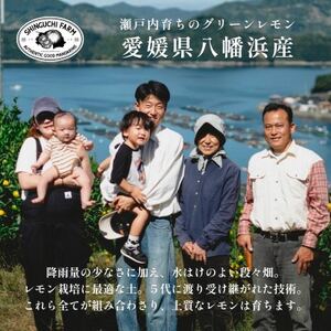 【皮が薄くて種がない】愛媛グリーンレモン 10kg 愛媛県産【H70-52】【1550685】