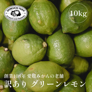 【防腐剤・ワックス不使用】愛媛県産【訳あり】グリーンレモン 10kg【F70-54】【1550697】