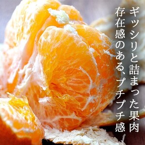 愛媛・八幡浜産「甘平:3kg」【訳あり】【D48-43】【1450449】