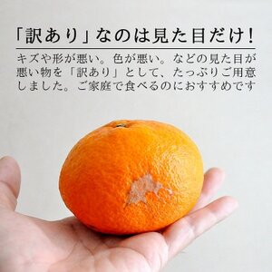 愛媛・八幡浜産「甘平:3kg」【訳あり】【D48-43】【1450449】
