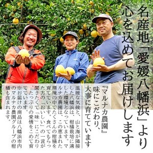 愛媛・八幡浜産「甘平:3kg」【訳あり】【D48-43】【1450449】