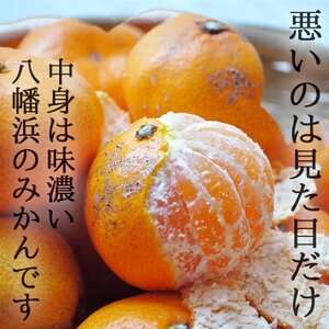 【1月から配送開始】「越冬・木なり完熟・みかん:6kg」【訳あり】【C48-51】【1450552】