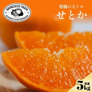 柑橘の大トロ【せとか 5kg】～とろける濃厚果実～【G70-57】【1554059】