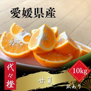 【ほろ苦くて甘酸っぱい】【訳あり】甘夏 10kg【E83-28】【1557494】