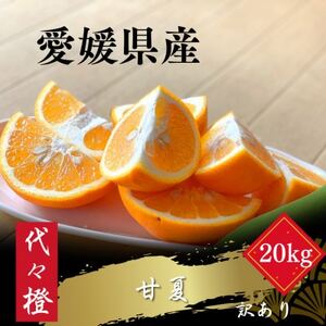 【ほろ苦くて甘酸っぱい】【訳あり】甘夏 20kg【H83-29】【1557497】