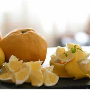 【初夏の味】【訳あり】ニューサマーオレンジ 10kg【F83-30】【1557499】