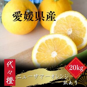 【初夏の味】【訳あり】ニューサマーオレンジ 20kg【H83-31】【1557500】