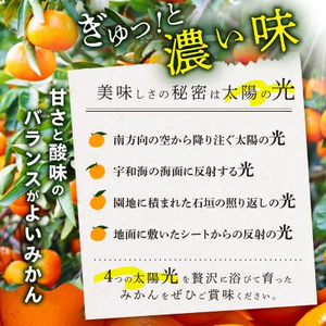 【訳あり(家庭用)】三代目がつくる愛媛みかん 8kg【C31-40】【1556518】