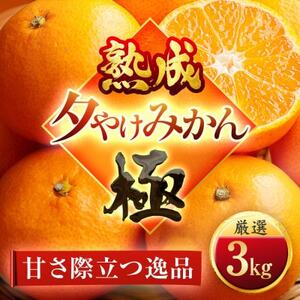 【完熟＆熟成】愛媛で育った夕やけみかん【極】3kg　※年明け発送【C49-77】【1557679】