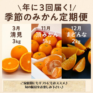【発送月固定定期便】美味しいみかん柑橘のある暮らし【みかん・まどんな・きよみ】【G31-42】全3回【4058603】