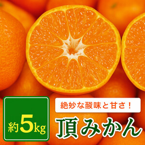 【発送月固定定期便】美味しいみかん柑橘のある暮らし【みかん・まどんな・きよみ】【G31-42】全3回【4058603】