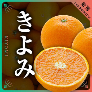 【発送月固定定期便】美味しいみかん柑橘のある暮らし【みかん・まどんな・きよみ】【G31-42】全3回【4058603】
