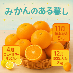 【発送月固定定期便】美味しい柑橘【みかん・まどんな・ニューサマーオレンジ】【G31-44】全3回【4058606】