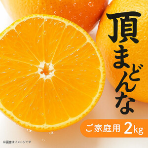 【発送月固定定期便】美味しい柑橘【まどんな・せとか・ニューサマーオレンジ】【G31-45】全3回【4058607】