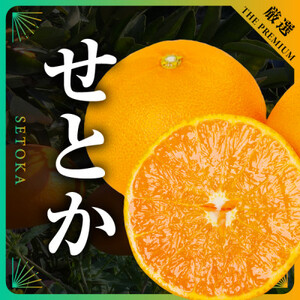 【発送月固定定期便】美味しい柑橘【まどんな・せとか・ニューサマーオレンジ】【G31-45】全3回【4058607】