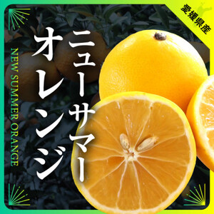 【発送月固定定期便】美味しい柑橘【まどんな・せとか・ニューサマーオレンジ】【G31-45】全3回【4058607】
