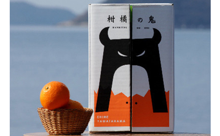 八幡浜産愛果28号マドンナ2kg【C56-58】【配送不可地域：離島・北海道・沖縄県】【1569489】