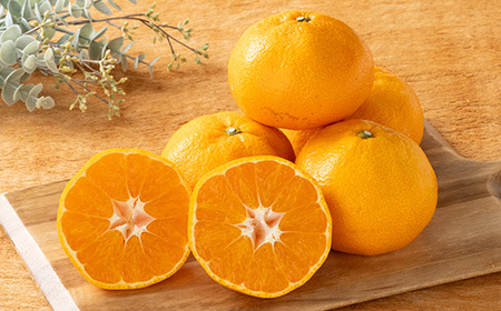 愛媛県八幡浜市産大玉みかん11kg【C56-59】【配送不可地域：離島】【1572269】